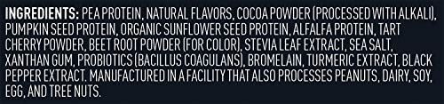 Vega Sport Premium Vegan Protein Powder, Chocolate - 30g Plant Based Protein, 5g BCAA Vega buy supplements canada
