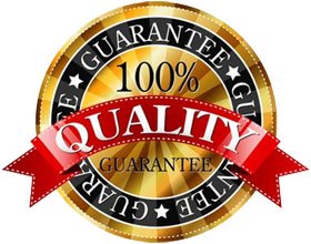 Nitric Oxide powder with L-arginine and L-glutamine - Nitric Oxide Pre-Workout Booster VIP VITAMINS buy supplements canada