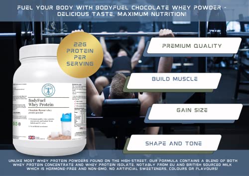 Complementary Supplements - BodyFuel Whey Protein Isolate & Concentrate Chocolate Flavour Complementary Supplements buy supplements canada