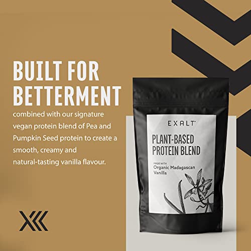 EXALT Vegan Protein Powder - 100% Plant-Based – Gluten Free - Keto Friendly EXALT buy supplements canada