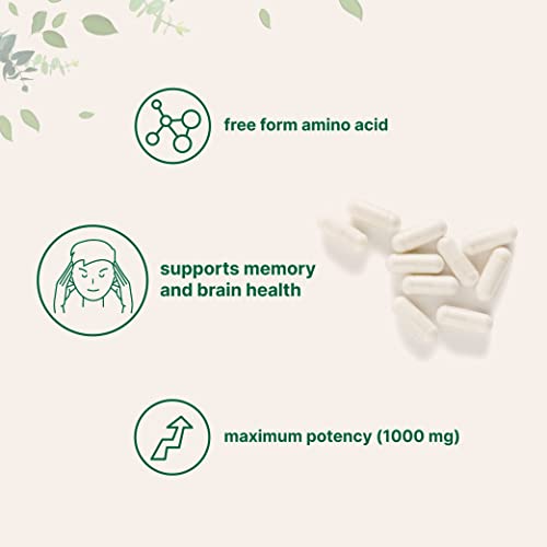 Micro Ingredients Plant Based L Tyrosine Pills, 1000mg Per Serving, 240 Capsules Micro Ingredients buy supplements canada