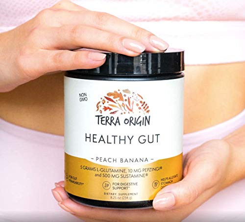 TERRA ORIGIN Healthy Gut Peach Banana | 3-Pack, 90 Servings (Three 30-Serving tubs) TERRA ORIGIN buy supplements canada