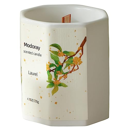 Modoray Scented Candle, Candles for Home Scented, Aromatherapy Candle，Long Lasting Natural Modoray buy supplements canada
