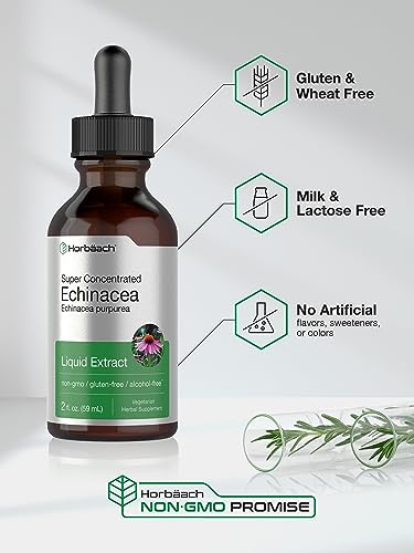 Echinacea Drops Liquid Extract | 2 fl oz | Super Concentrated Tincture | Alcohol Free Horbäach buy supplements canada