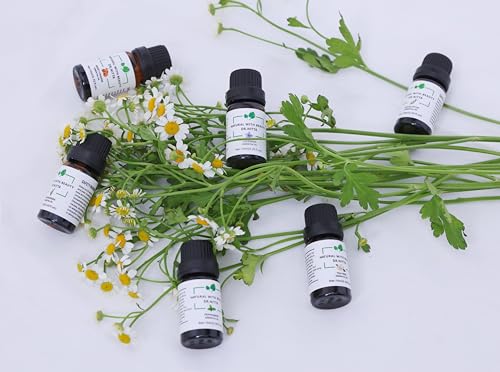 Essential Oils Set 100% Pure Natural DR.NITTA Top 6 Oils for Massage,Diffusers,Humidifier DR.NITTA buy supplements canada