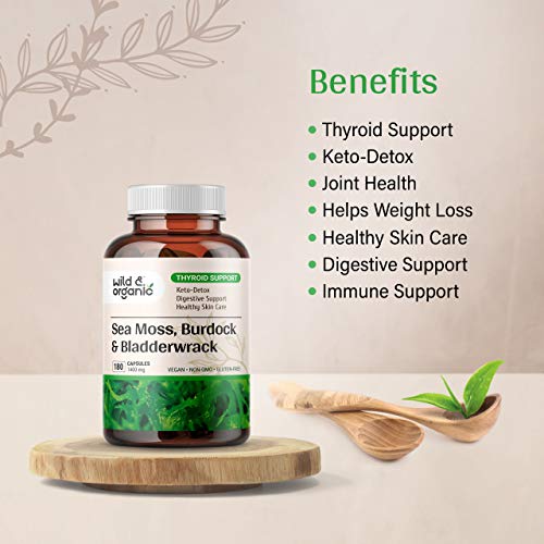 Sea Moss Capsules - 180 Caps Wildcrafted Irish Moss, Burdock Root & Bladderwrack Wild & Organic buy supplements canada