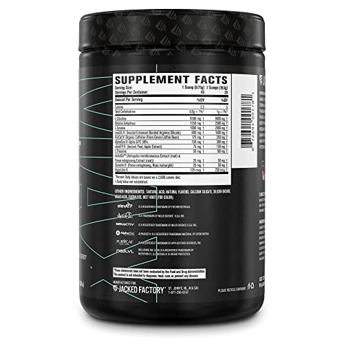 Jacked Factory Nitrosurge Max Nootropic Pre Workout Powder - Premium Pre Workout Jacked Factory buy supplements canada