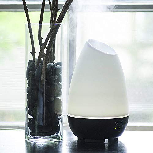 HealthSmart Essential Oil Diffuser, Cool Mist Humidifier and Aromatherapy Diffuser, FSA HSA Eligible with 500ML HealthSmart buy supplements canada