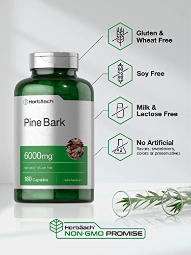 Pine Bark Extract | 6000 mg | 180 Capsules | Standardized to Contain 380 mg Proanthocyan Horbäach buy supplements canada