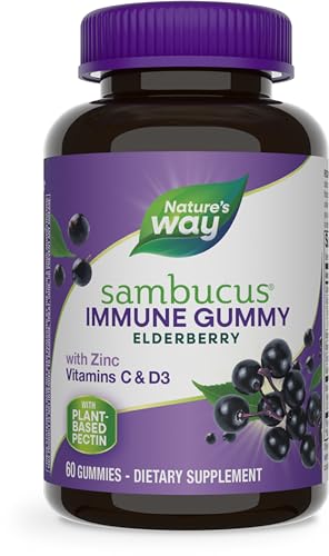 Nature's Way Sambucus Elderberry Immune Gummies, Daily Immune Support Nature's Way buy supplements canada