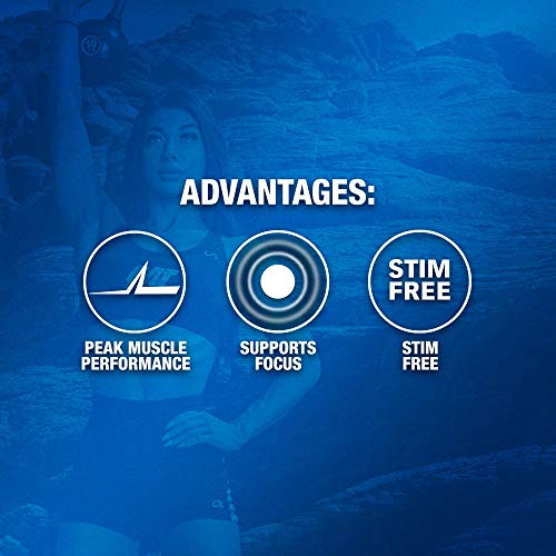 GAT PMP (Peak Muscle Performance), Next Generation Pre Workout Powder for Intense GAT SPORT buy supplements canada