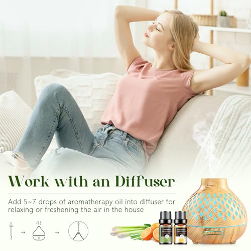Essential Oils Set - 12 Pcs Aromatherapy Essential Oil Kit for Diffuser, Humidifier, Aromatherapy, Massage Aeshory buy supplements canada