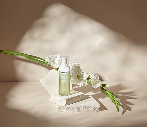 HUECALM Pure & Balancing Feminine Wash, Low pH Balance, Vegan, Korean Beauty Product HUECALM buy supplements canada