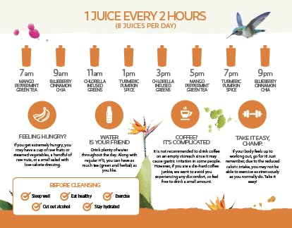 LEMONKIND 3-Day PROTEIN Juice Cleanse – High Protein Detox to Boost LEMONKIND buy supplements canada