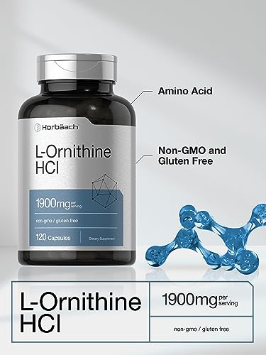 L Ornithine HCl | 1900mg | 120 Capsules | Non-GMO & Gluten Free Supplement Horbäach buy supplements canada