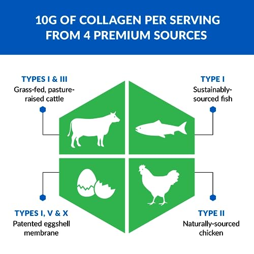BioTrust Ageless Multi Collagen Protein Powder– 5 Collagen Types (I, II, III, V, X) BioTrust buy supplements canada