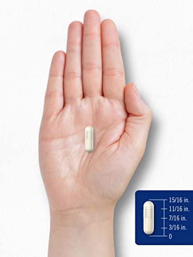 Carlyle Chitosan Supplement 1200mg | 120 Quick Release Capsules | Non-GMO Carlyle buy supplements canada