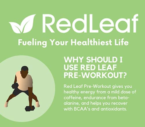 Red Leaf Pre Workout Energizer Powder, BCAA's, Beta-Alanine, Amino Acids and Green Tea Red Leaf buy supplements canada