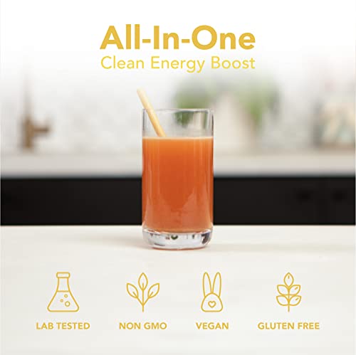 ENVEED SUPERFOOD Active | Natural Caffeine and Adaptogen Pre Workout Powder ENVEED SUPERFOOD buy supplements canada