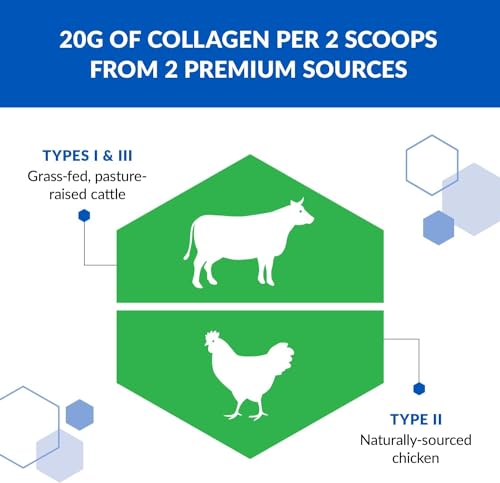 BioTrust Tri Collagen Powder - 3-in-1 Hydrolyzed Collagen Peptides Powder BioTrust buy supplements canada