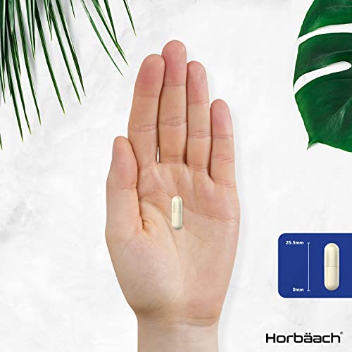 Marine Collagen Capsules | with Hyaluronic Acid, Vitamin C & E | 2000mg | High Strength Type 1 Collagen Horbäach buy supplements canada
