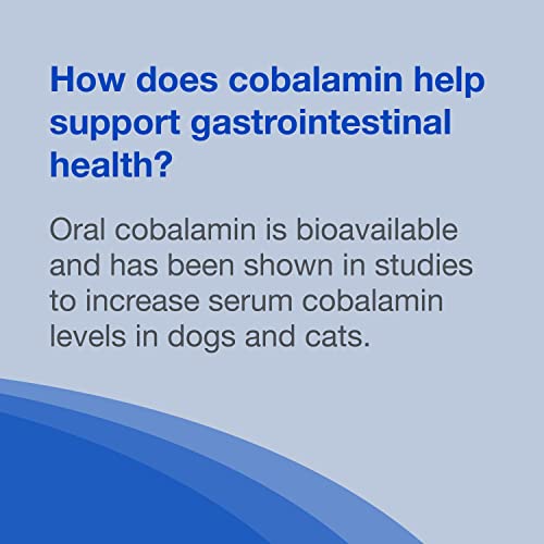 Nutramax Cobalequin B12 Supplement for Cats and Small Dogs, 45 Count (Pack of 1) Nutramax Laboratories buy supplements canada
