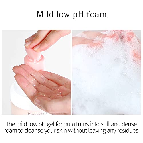 Pyunkang Yul Low pH Feminine Wash with Green Tea, Cica, Moisturizing for Women Vaginal Health Pyunkang Yul buy supplements canada