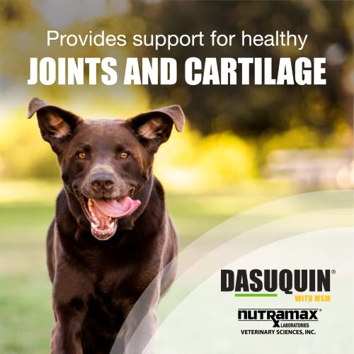 Nutramax Laboratories Dasuquin with MSM Joint Health Supplement for Large Dogs Nutramax Laboratories buy supplements canada