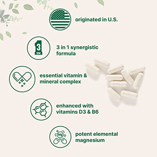 Magnesium Citrate 400mg with Vitamin D3 1000IU & B6, 240 Capsules Micro Ingredients buy supplements canada