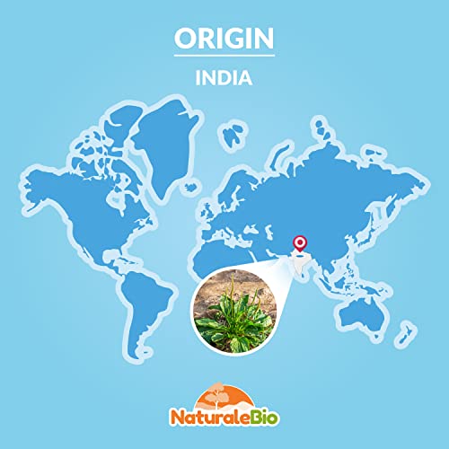 Organic Psyllium Husk - 99% Purity - 200g. Pure & Natural Psyllium Seed Husks NaturaleBio buy supplements canada