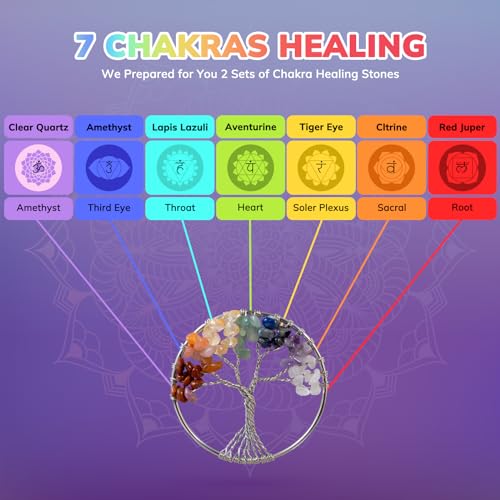 WVIOUOPU Healing Crystals and Chakra Stones Set - 13 Pcs Real Raw Healing Chakra Stones WVIOUOPU buy supplements canada