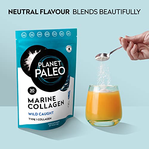 Pure Marine Collagen Powder (60 Servings, 450g) | for Healthy Skin, Hair and Nails, and Gut Health Planet Paleo buy supplements canada
