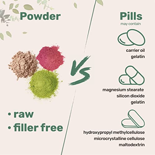 Sustainably US Grown, Organic Mega Mushroom 10 in 1 Complex Formula Powder Micro Ingredients buy supplements canada