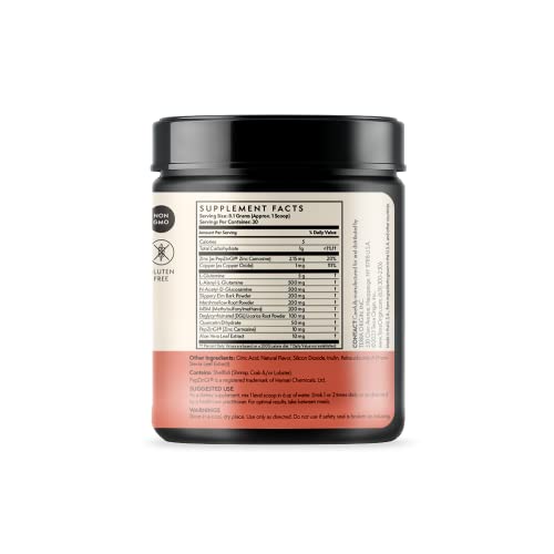 TERRA ORIGIN Healthy Gut Watermelon | 30-Servings with L-Glutamine, Zinc TERRA ORIGIN buy supplements canada