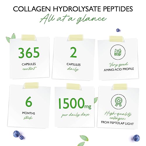 Collagen - 365 Capsules - 1500 mg per Daily Serving - Premium: 100% Bovine Collagen Vit4ever buy supplements canada