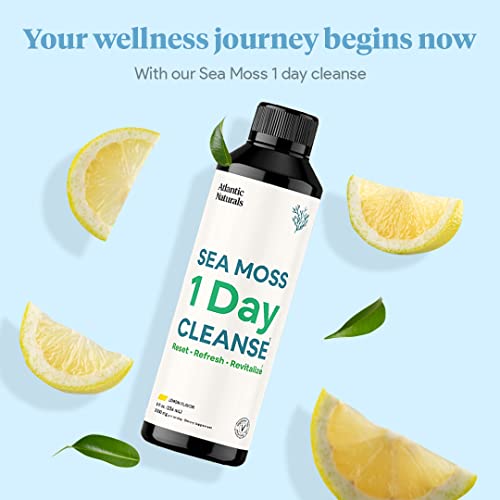 Sea Moss 1 Day Cleanse - Full Body Detox to support bowel movements, Kidney Health Atlantic Naturals buy supplements canada
