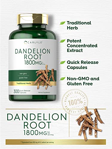 Carlyle Dandelion Root Capsules 1800mg | 300 Count | Non-GMO, Gluten Free Carlyle buy supplements canada