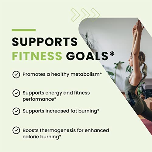 Green Tea Weight Loss Pills with Green Coffee Bean Extract | Belly Fat Burner, Metabolism Nobi Nutrition buy supplements canada