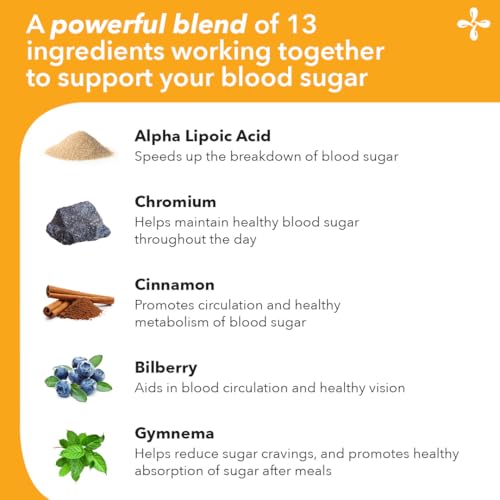 LifeSeasons GS Stabili-T - Blood Sugar Support Supplement - Healthy Circulation & Vision - Maintain Normal Levels - Chromium Cinnamon Gymnema Bilberry & Alpha Lipoic Acid - 90 Capsules LifeSeasons buy supplements canada