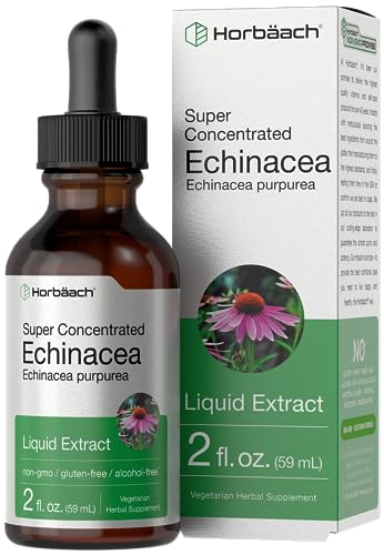 Echinacea Drops Liquid Extract | 2 fl oz | Super Concentrated Tincture | Alcohol Free Horbäach buy supplements canada