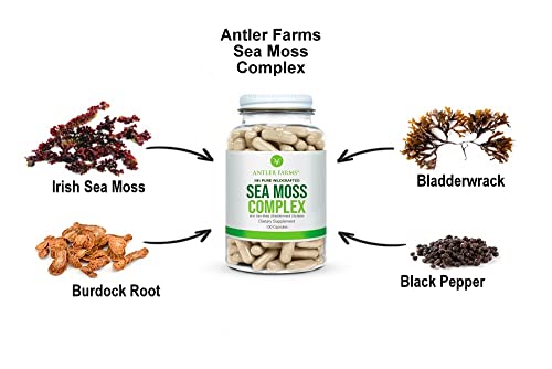 Antler Farms – 100% Pure Sea Moss Complex, 130 Capsules, Organic & Wildcrafted Irish Antler Farms buy supplements canada