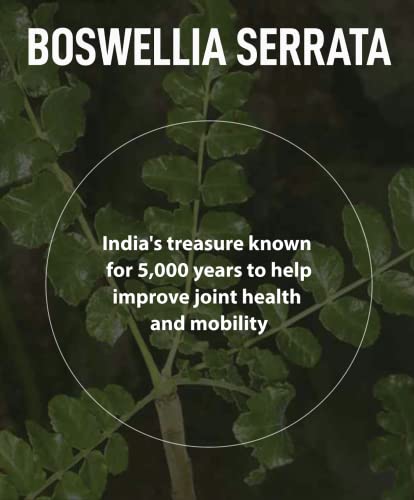 FromBIO for Joints Health and Cartilage, Boswellia, 1,000mg of Boswellia and 71mg of AKBA & KBA FromBIO buy supplements canada