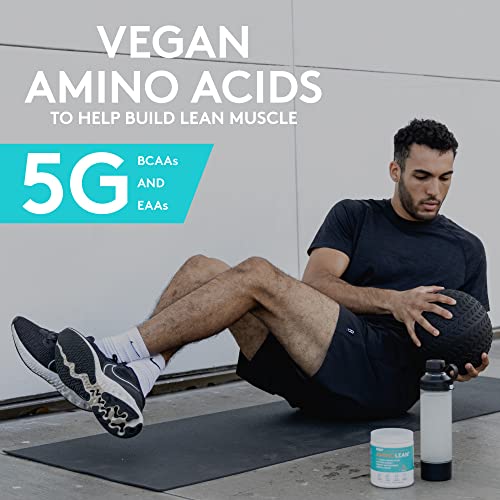 RSP Nutrition Mango Aminolean Amino Acid Supplement Powder, 8.29 OZ RSP NUTRITION buy supplements canada