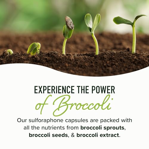 20MG Sulforaphane | From Broccoli Sprouts & Seed Extract | 565MG Microbeadlet SMNutrition buy supplements canada
