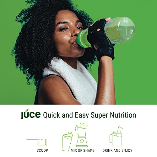 Terra Kai Organics JUCE Green Superfood Powder, Organic Fruits and Veggies Supplement Terra Kai Organics buy supplements canada