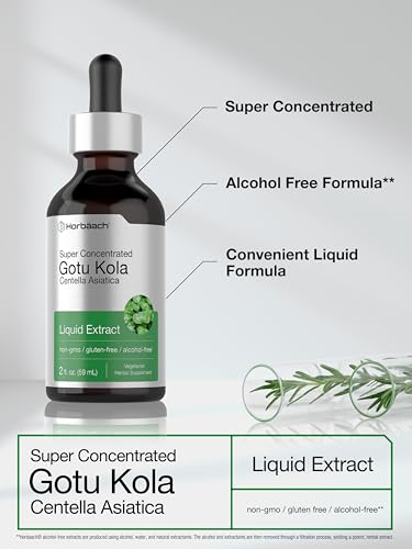 Gotu Kola Extract | 2 fl oz | Alcohol Free | Super Concentrated Liquid Herb Supplement Horbäach buy supplements canada