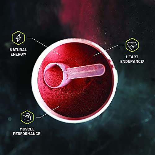Snap Supplements Pre-Workout Beets + Nitric Oxide Booster (2 Products) Snap Supplements buy supplements canada