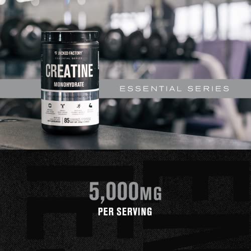 Jacked Factory Creatine Monohydrate Powder 425g - Creatine Supplement for Muscle Jacked Factory buy supplements canada