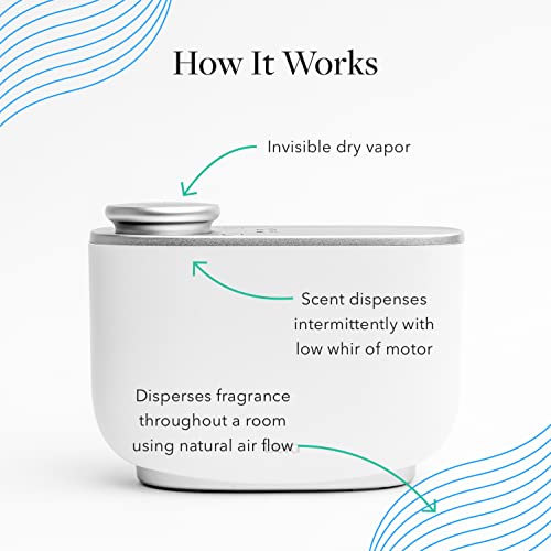Aera Majestic Fir Home Fragrance Scent Refill - Notes of Fir and Juniper - Works with The Aera Diffuser AERA buy supplements canada