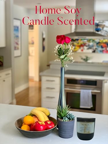 Sandalwood Bourbon Non-Toxic Candles | Natural Candles for Men |Aromatherapy Candle Relaxing Terreux Mind & Body buy supplements canada